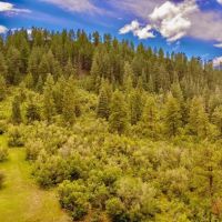 Pine Spring Ranch Splendor images 2