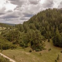 Pine Spring Ranch Splendor images 5