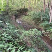 Land For Sale in Parke County IN 20 Acres - Tract 1 images 2