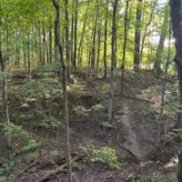 Land For Sale in Parke County IN 20 Acres - Tract 1 images 4