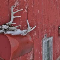 World Class Recreational Property Sale in Richland County Wisconsin images 5