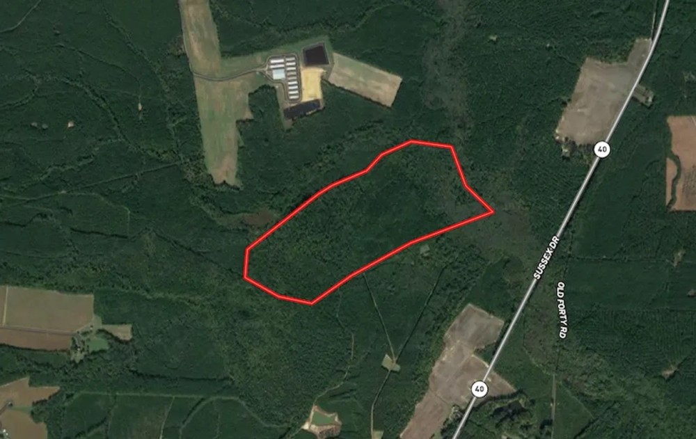 150 Deeded acres of Hunting Timber Investment Land For Sale in Sussex County VA featured image
