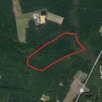 150 Deeded acres of Hunting Timber Investment Land For Sale in Sussex County VA