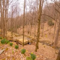 200 - PRIVATE Acres with Gorgeous Cabin images 3