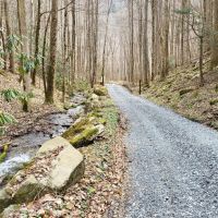 200 - PRIVATE Acres with Gorgeous Cabin images 5