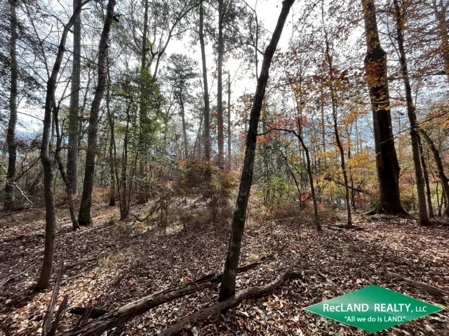 80 ac - Bottomland Hunting Tract near El Dorado - PRICE REDUCED featured image