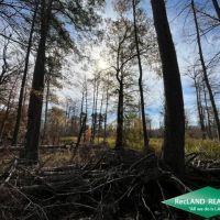 80 ac - Bottomland Hunting Tract near El Dorado - PRICE REDUCED images 3
