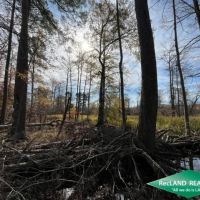 80 ac - Bottomland Hunting Tract near El Dorado - PRICE REDUCED images 5