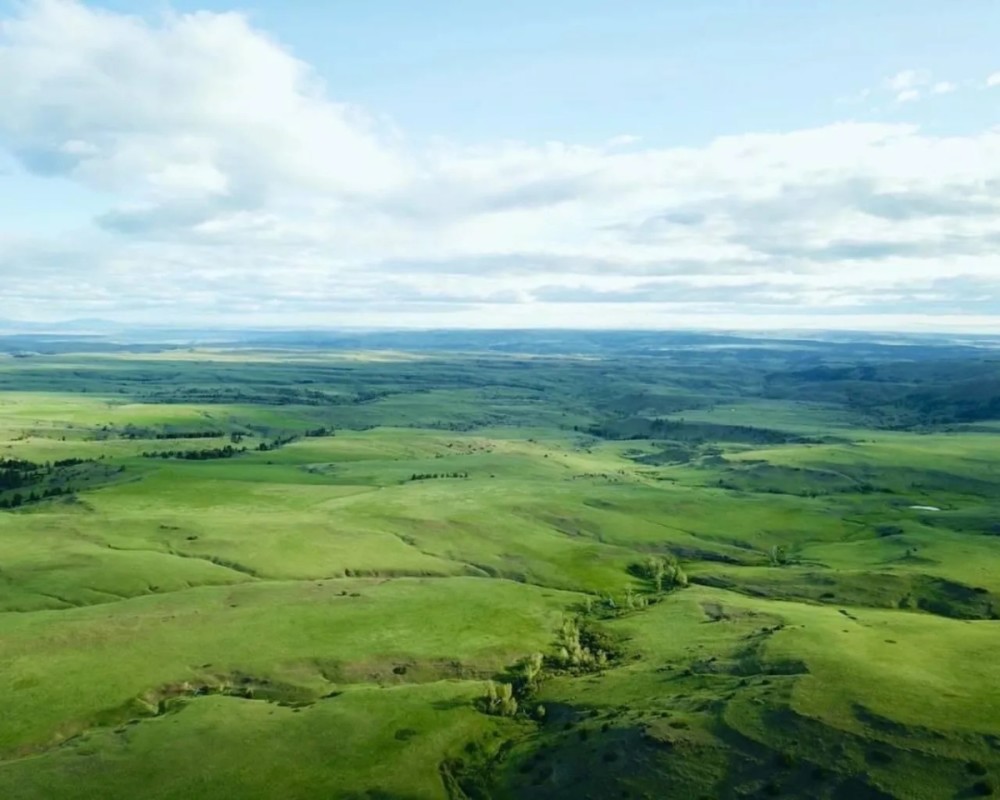 Cow Face Hill Ranch Montana featured image