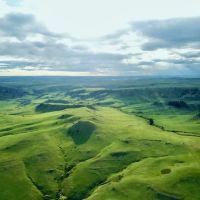 Cow Face Hill Ranch Montana images 2