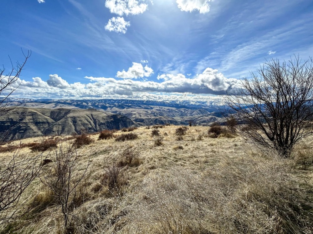Canyon View 20 Acres featured image