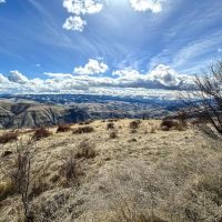 Canyon View 20 Acres