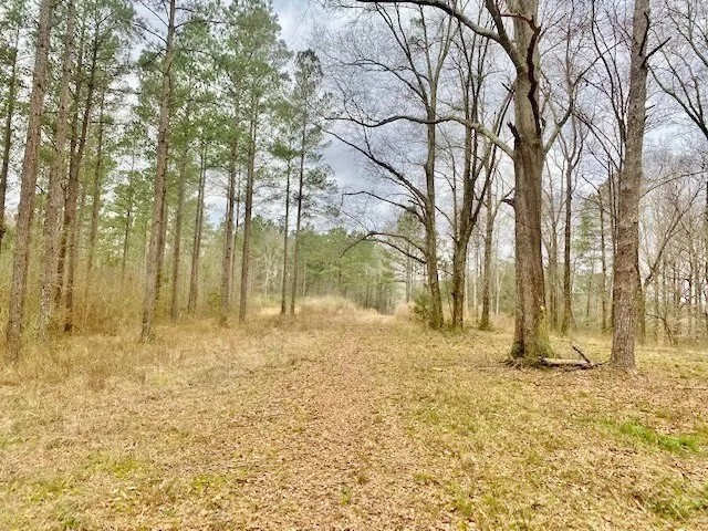 48 Acres Walthall Co. Salem School District featured image