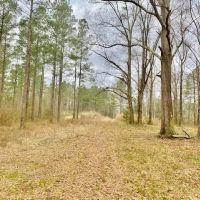48 Acres Walthall Co. Salem School District images 1