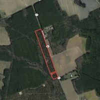 11.7 acres of Timber and Hunting Land in Greensville County VA