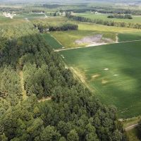 11.7 acres of Timber and Hunting Land in Greensville County VA images 2