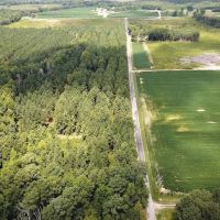 11.7 acres of Timber and Hunting Land in Greensville County VA images 3