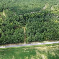 11.7 acres of Timber and Hunting Land in Greensville County VA images 4