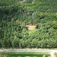11.7 acres of Timber and Hunting Land in Greensville County VA images 5