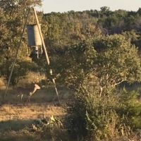 House and Land in Lampasas County TX images 5