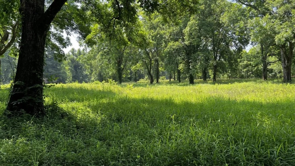 Big Spring Farm featured image