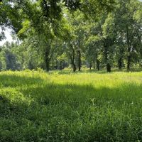 Big Spring Farm