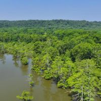 Big Spring Farm images 5