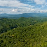 154 - Acres in Graham County images 4