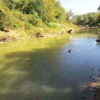 Muddy Boggy Recreational Hunting Choctaw County OK 120 AC
