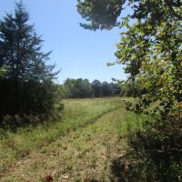 Muddy Boggy Recreational Hunting Choctaw County OK 120 AC images 4