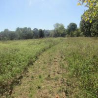 Muddy Boggy Recreational Hunting Choctaw County OK 120 AC images 5