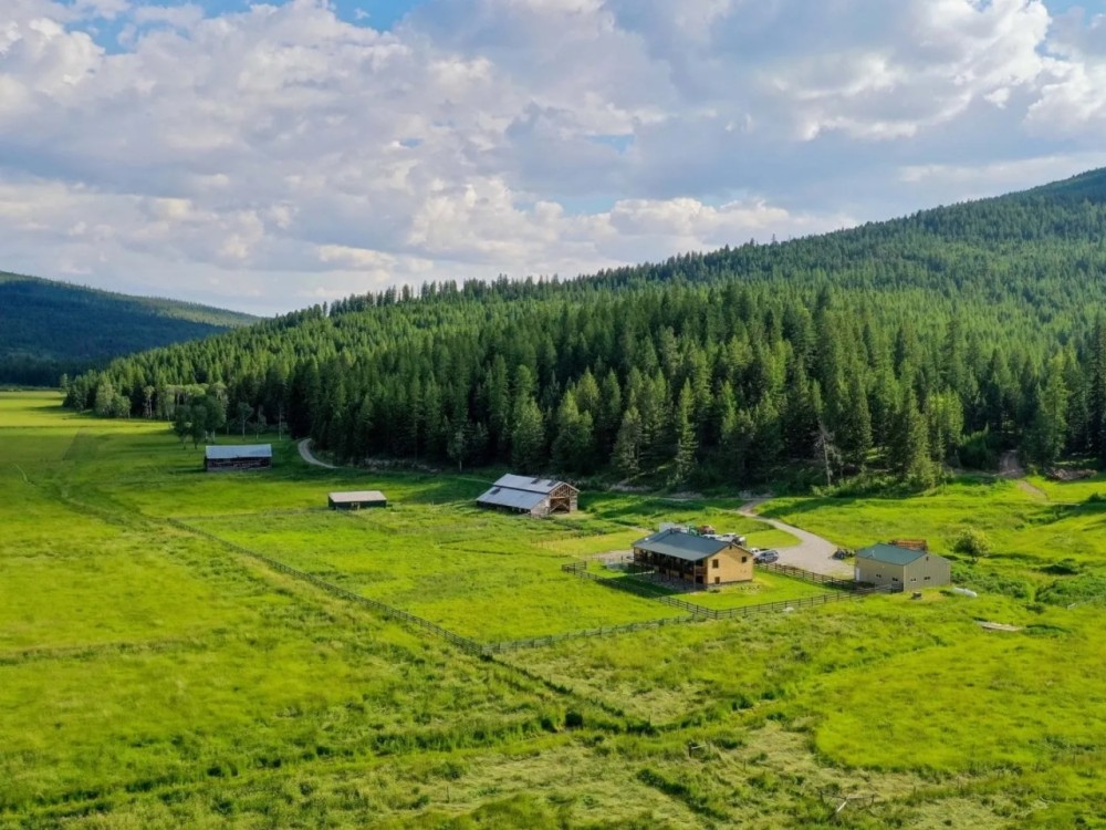 Browns Meadow Ranch featured image