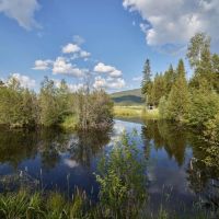 Browns Meadow Ranch images 3
