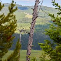 Browns Meadow Ranch images 5