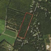 MARKET BASED PRICE IMPROVEMENT 32.55 Acres In The City of Chesapeake Va. With Road Frontage Beautiful Timber