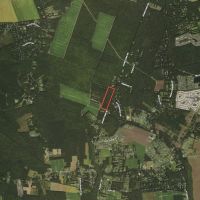 MARKET BASED PRICE IMPROVEMENT 32.55 Acres In The City of Chesapeake Va. With Road Frontage Beautiful Timber images 2