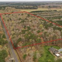 MARKET BASED PRICE IMPROVEMENT 32.55 Acres In The City of Chesapeake Va. With Road Frontage Beautiful Timber images 3