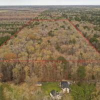 MARKET BASED PRICE IMPROVEMENT 32.55 Acres In The City of Chesapeake Va. With Road Frontage Beautiful Timber images 5