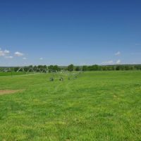 Elk Range Ranch images 3