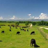Elk Range Ranch images 4