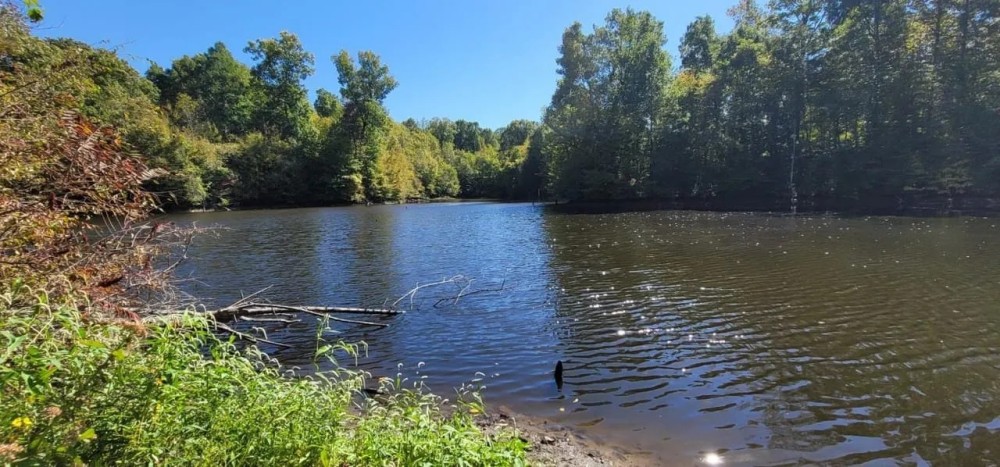 200 ac on the bluff with large lake and hardwoods and plots featured image