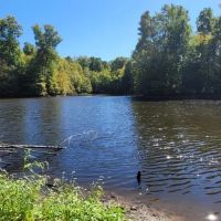 200 ac on the bluff with large lake and hardwoods and plots