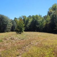 200 ac on the bluff with large lake and hardwoods and plots images 3
