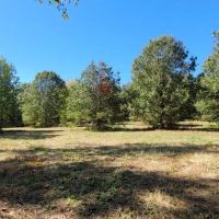 200 ac on the bluff with large lake and hardwoods and plots images 4