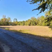200 ac on the bluff with large lake and hardwoods and plots images 5