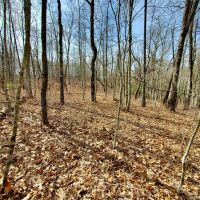 12 - acres Robinson Creek Road images 5
