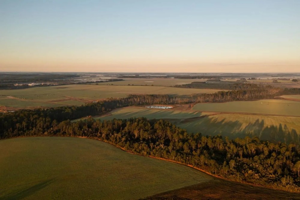 Rolling Acres Farm featured image