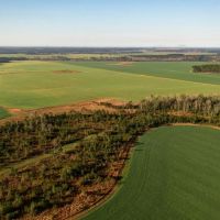Rolling Acres Farm images 5