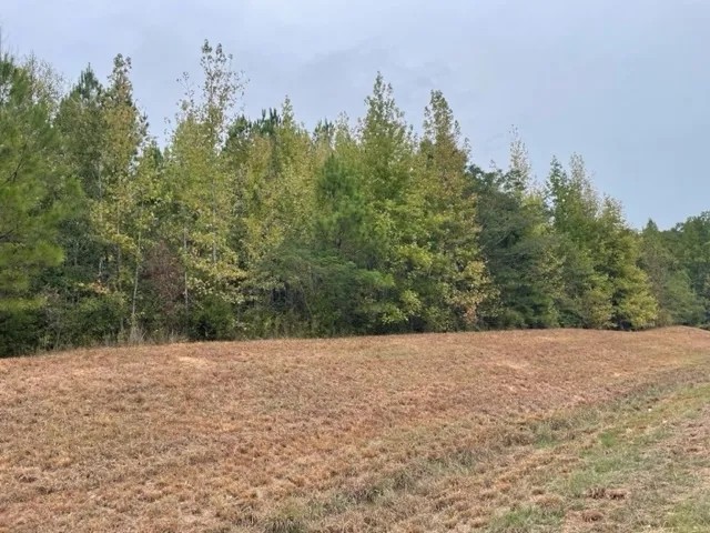 12.2 Ac Roxie featured image