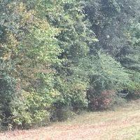 12.2 Ac Roxie images 4